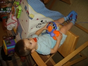S6001607.JPG