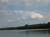 IMG_0909.JPG