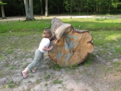 IMG_0915.JPG