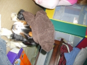 S6001646.JPG